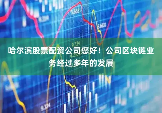 哈尔滨股票配资公司您好！公司区块链业务经过多年的发展